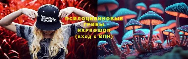 прущая мука Россошь