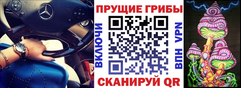 Галлюциногенные грибы GOLDEN TEACHER  ОМГ ОМГ ссылки  Снежинск  как найти закладки 